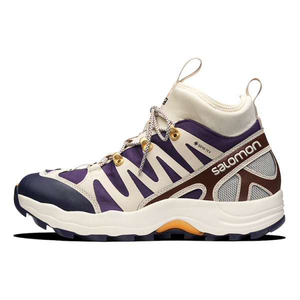 Salomon Xa Pro 1 Mid Gore-Tex