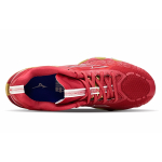 Mizuno Pro 10