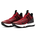 Nike Witness 4 Lebron EP