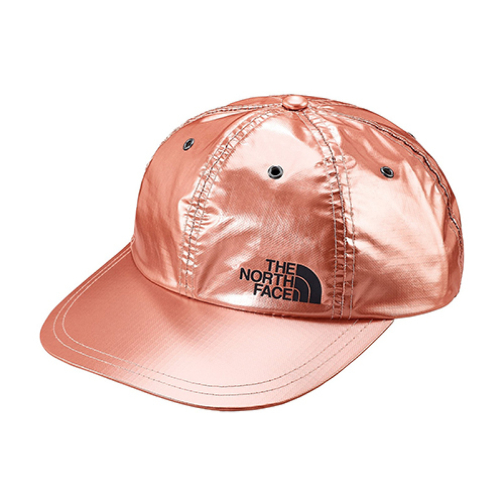 Supreme SS18 The North Face Metallic 6-Panel