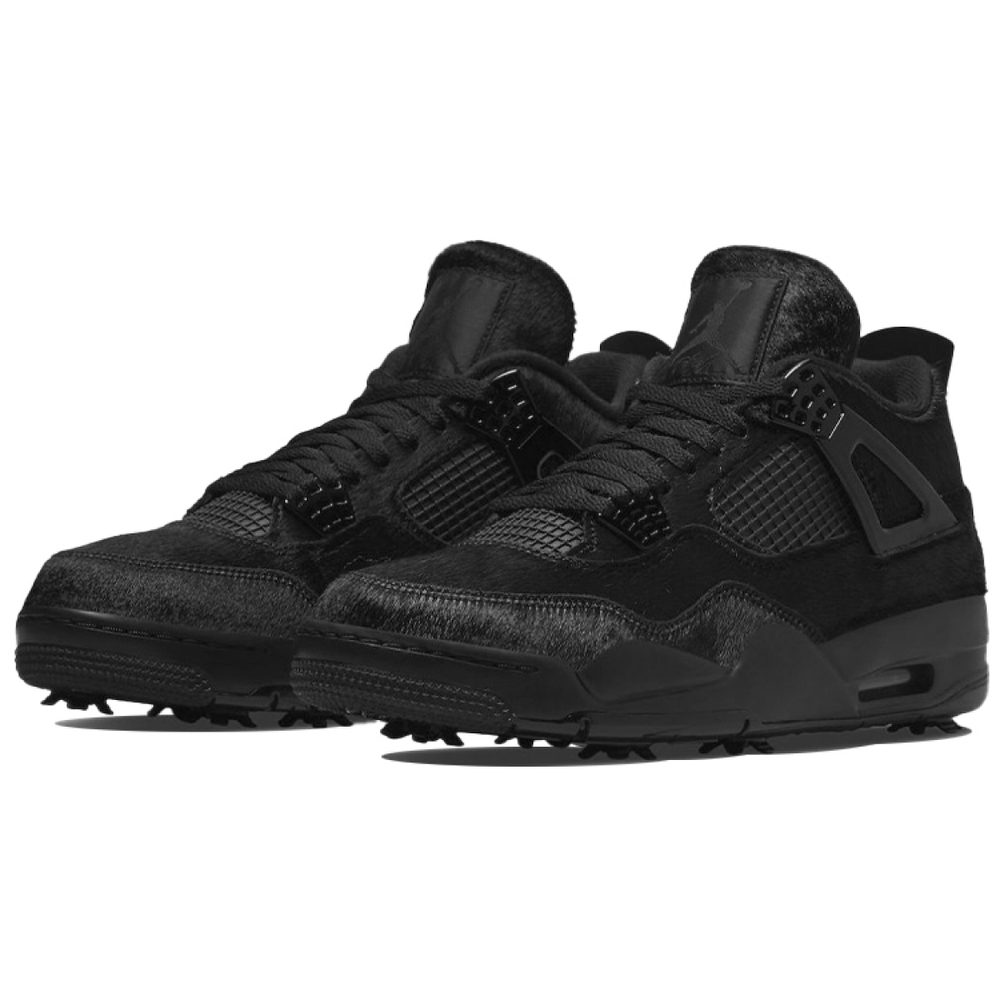Jordan Air Jordan 4 black cat