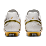 Asics DS LIGHT AG（ ）