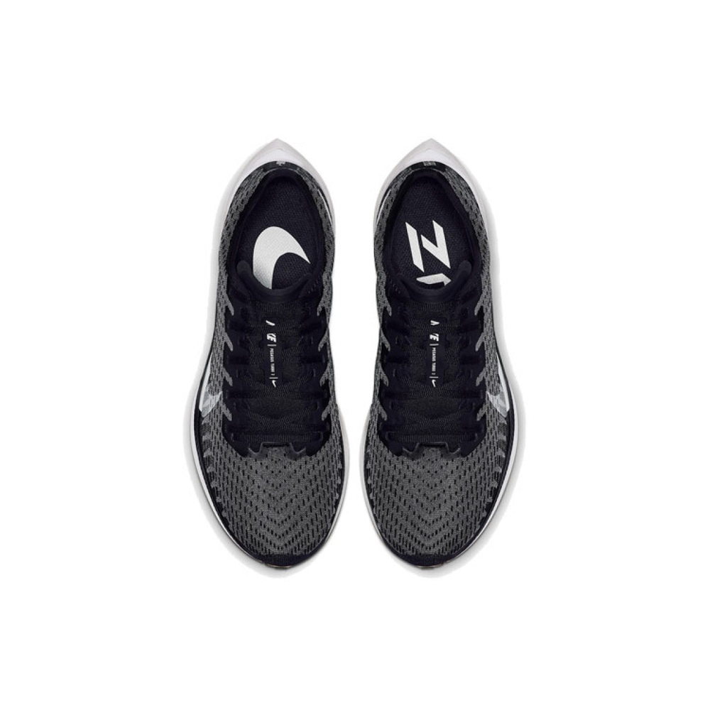 Nike Pegasus turbo 2