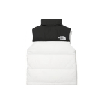 THE NORTH FACE 1996 Eco Nuptse