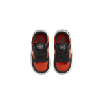 Nike Dunk TDE