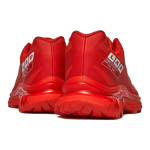 SALOMON XT-6 "10th Anniversary" 10