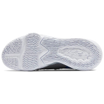 Nike Lebron 17 Low EP 17