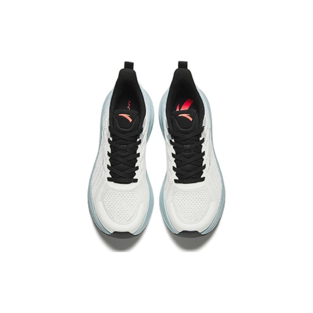 Anta