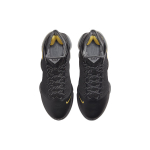 Nike Lebron 19 Low "Witness" 19