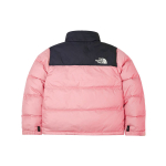 THE NORTH FACE 1996 Retro Nuptse 1996 700