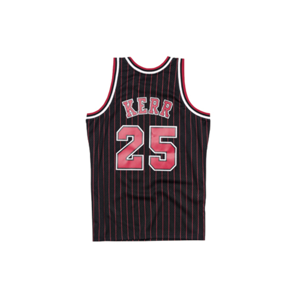 Mitchell & Ness SW NBA 95-96 25