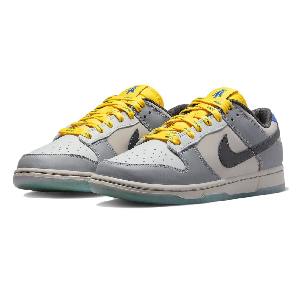 Nike Dunk "North Carolina A&T"