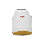 Mizuno School Indoor