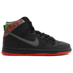Nike Dunk SB Spot Gasparilla