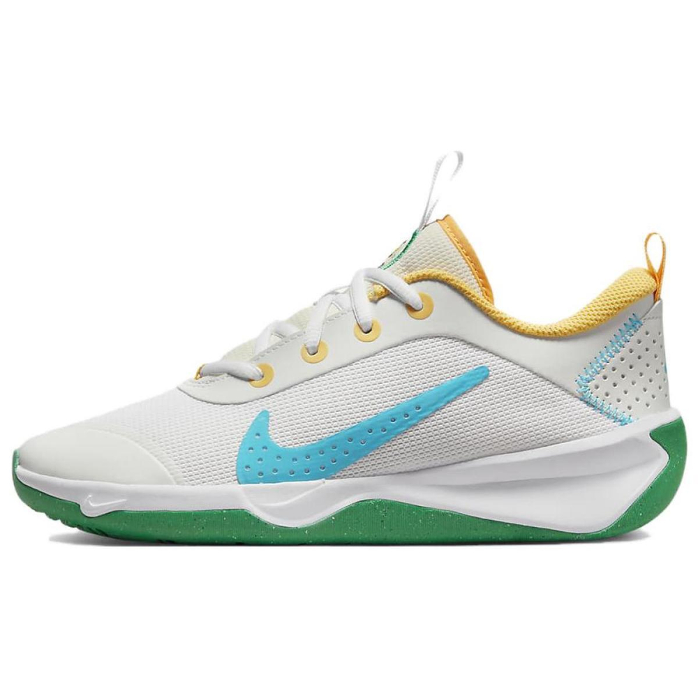 Nike Multi-Court