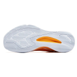 Anta RR5