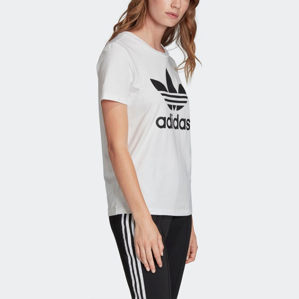Adidas originals Trefoil Tee Logo T