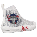 DIOR B23