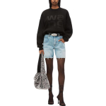 Alexander wang