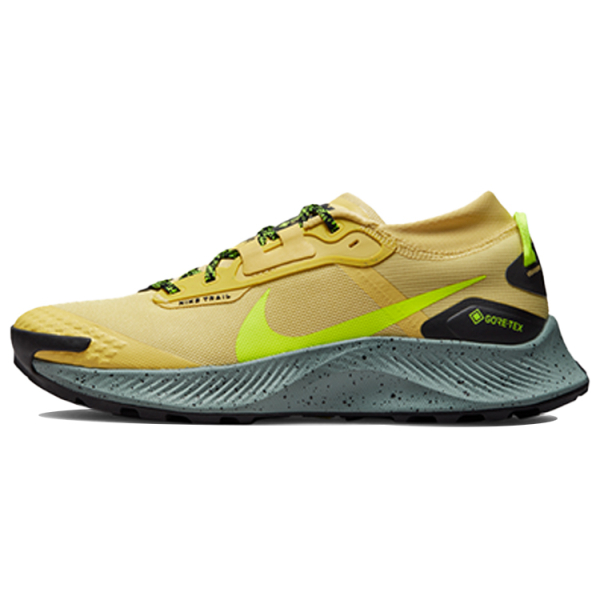 Nike Pegasus Trail 3 GTX