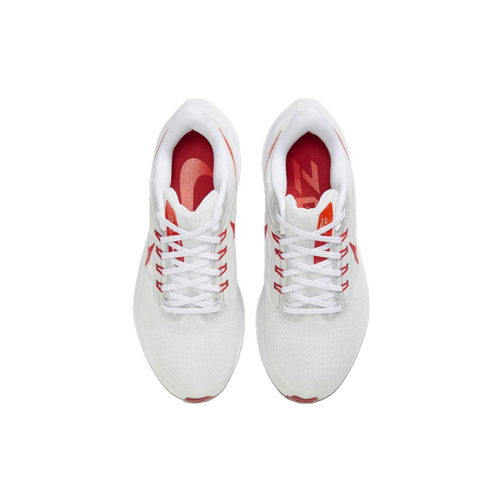 Nike Air Zoom Pegasus 39