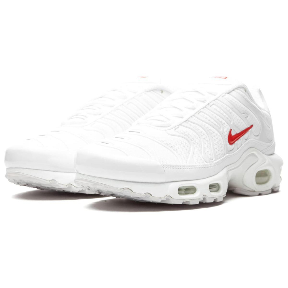 Supreme x Nike Air Max Plus TN