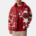 THE NORTH FACE Retro Nuptse 700