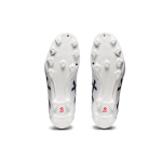 Asics Ds Light Club FG（ ）