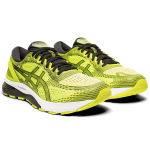 Asics GEL-Nimbus 21