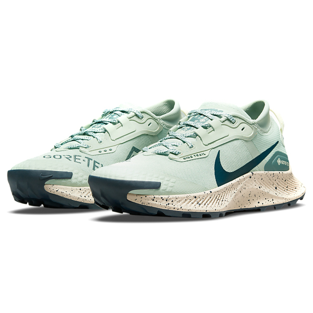 Nike Pegasus Trail 3 GTX