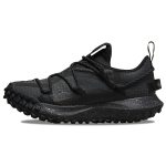 Nike ACG Mountain Fly Low GTX SE