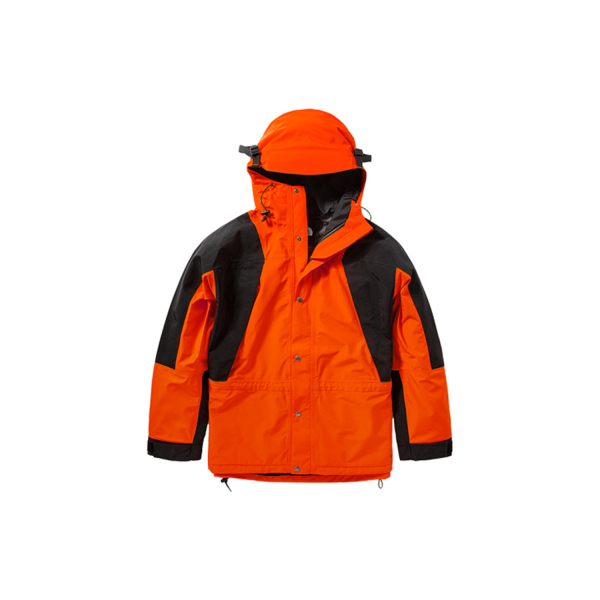 THE NORTH FACE 1994 1994 Retro Mountain Light Futurelight™ Jacket