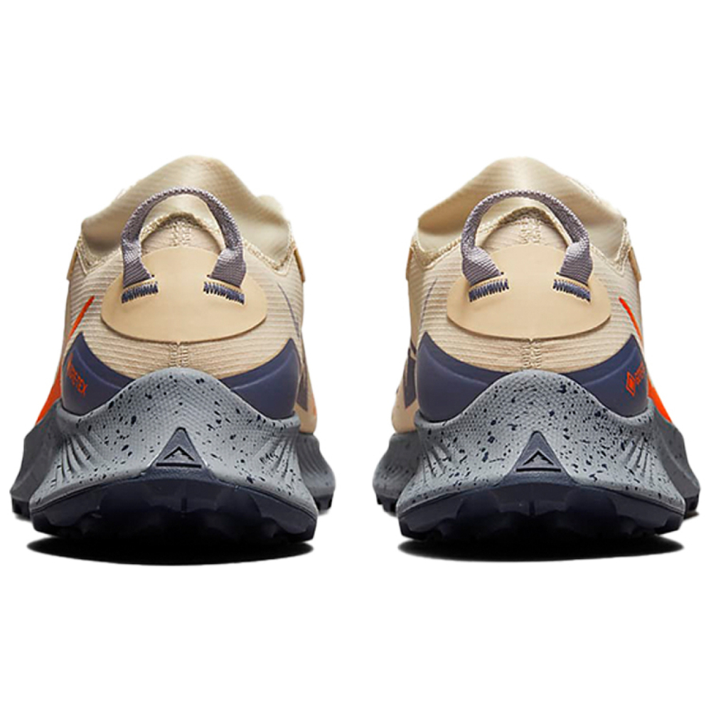 Nike Pegasus Trail 3 GTX