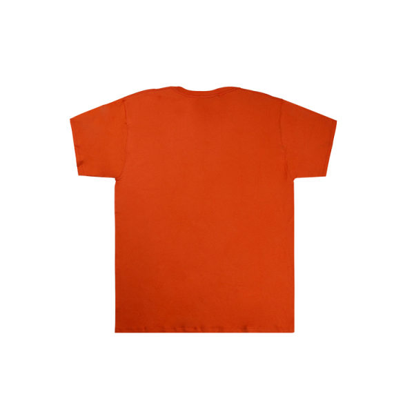 Champion T