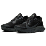 Nike Pegasus Trail 2 GORE-TEX