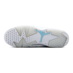 Jordan Air Jordan 6 Retro Pantone