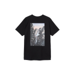 Stussy Falls Tee T