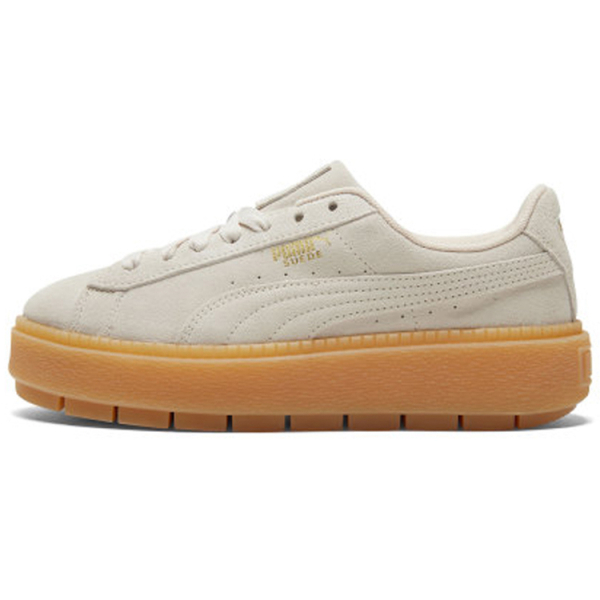 PUMA Platform Trace
