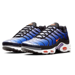 Nike Air Max Plus Midnight Purple