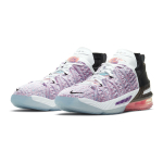 Nike Lebron 18