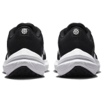 Nike Air Winflo 10