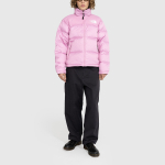 THE NORTH FACE 1996 RETRO NUPTSE Logo 700