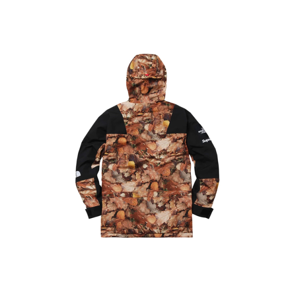 Supreme x /THE NORTH FACE FW16