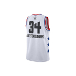 Nike NBA 2019 Giannis Antetokounmpo