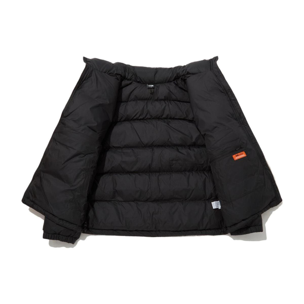 THE NORTH FACE FW23 ASPEN ON BALL Logo
