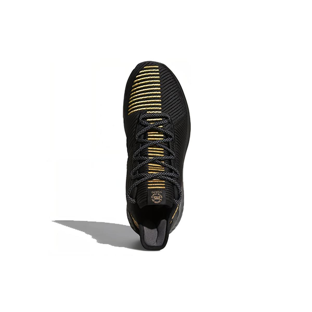 Adidas D Rose 9