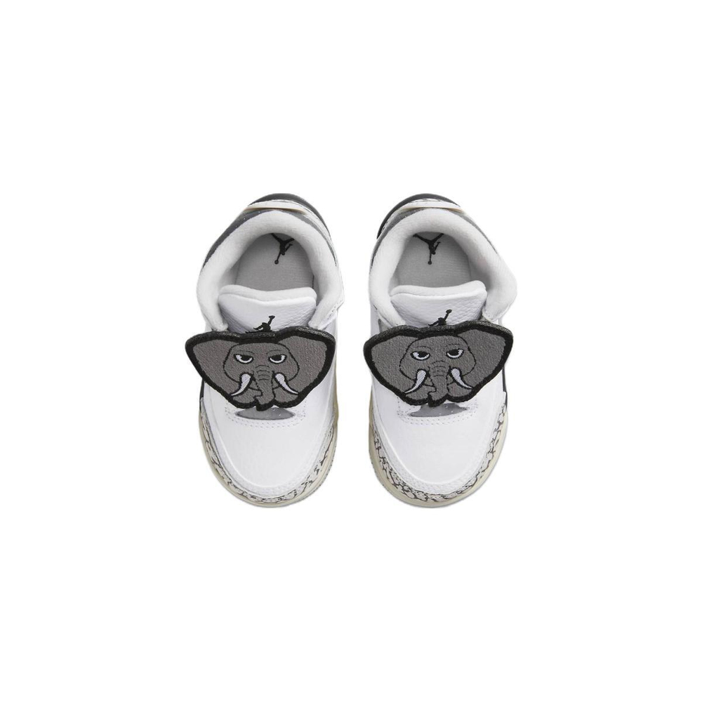 Jordan Air Jordan 3 Retro TD