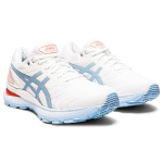Asics GEL-Nimbus 22