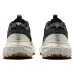 Nike ACG Mountain Fly 2 Low Gore-Tex