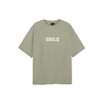 ICONS Lab T